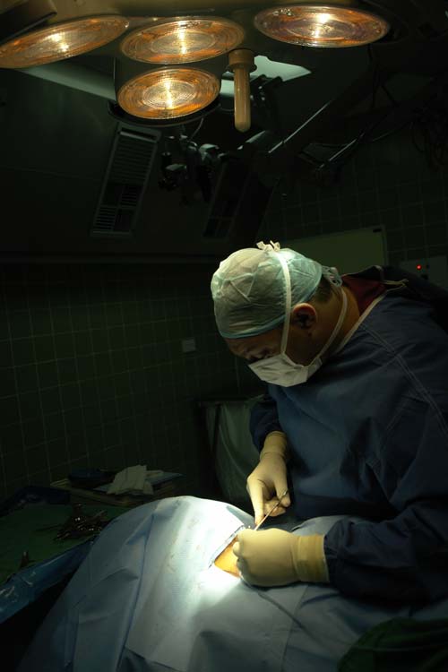 Dr. James Harrison Veterinarian Surgeon